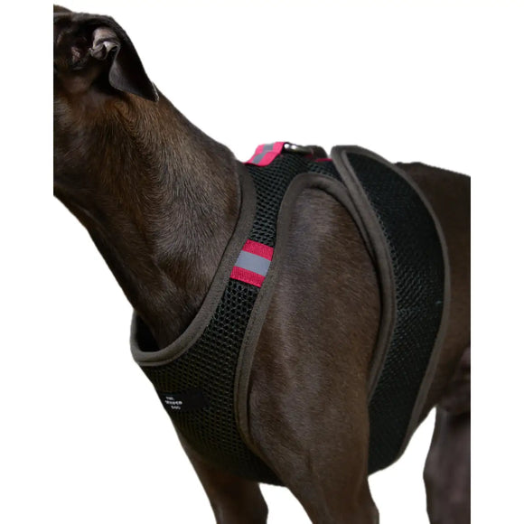 The Striped Dog - Chroma Verde Militare - Pettorine