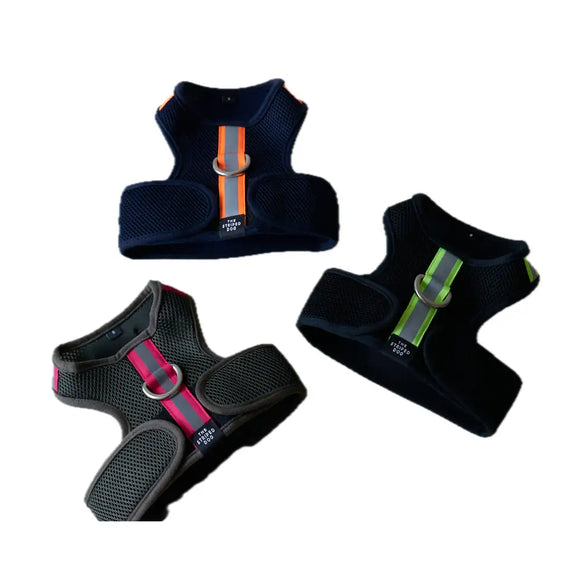 The Striped Dog - Chroma Verde Militare - Pettorine