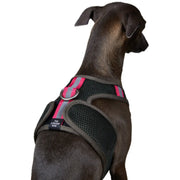 The Striped Dog - Chroma Verde Militare - XS - Pettorine