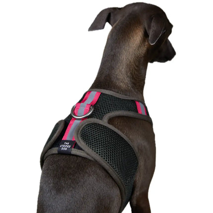 The Striped Dog - Chroma Verde Militare - XS - Pettorine