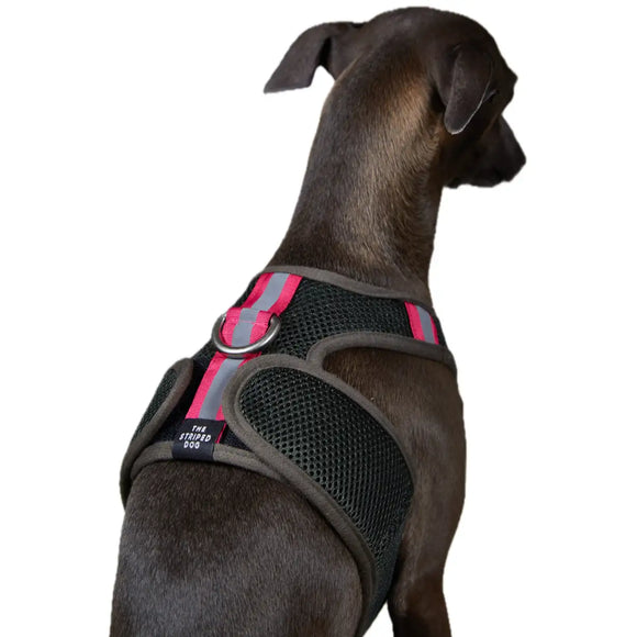 The Striped Dog - Chroma Verde Militare - XS - Pettorine