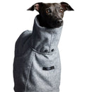 The Striped Dog - Downey - Cappottini