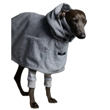 The Striped Dog - Downey - Cappottini