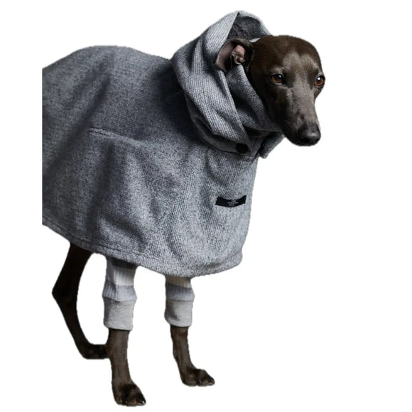 The Striped Dog - Downey - Cappottini