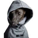 The Striped Dog - Downey - Cappottini