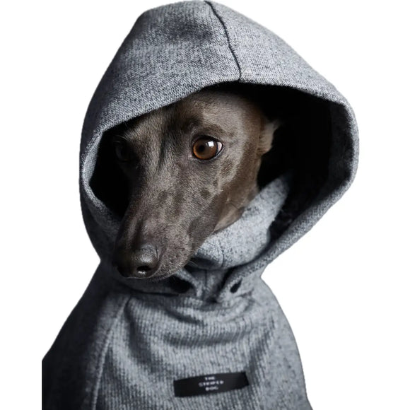 The Striped Dog - Downey - Cappottini