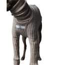 The Striped Dog - Palmdale Sabbia - Maglioncini