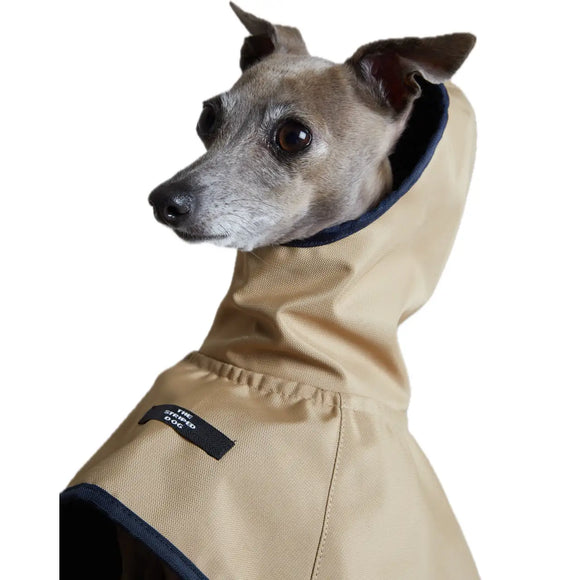 The Striped Dog - Paramount Sabbia - Impermeabili