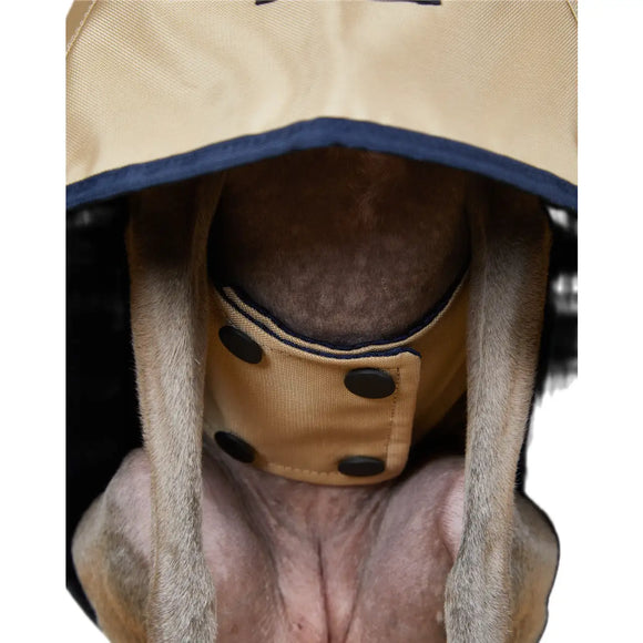 The Striped Dog - Paramount Sabbia - Impermeabili