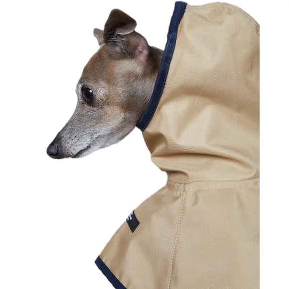 The Striped Dog - Paramount Sabbia - Impermeabili