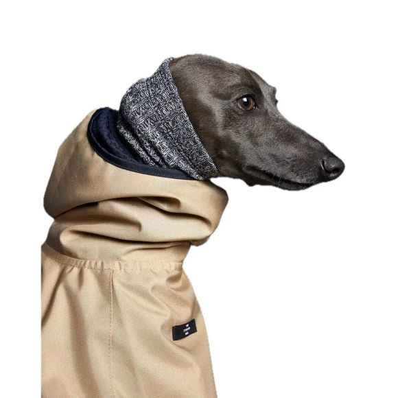 The Striped Dog - Paramount Sabbia - Impermeabili