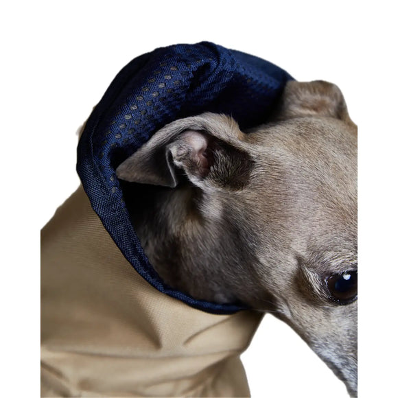 The Striped Dog - Paramount Sabbia - Impermeabili