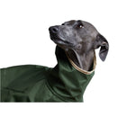 The Striped Dog - Paramount Verde - Impermeabili