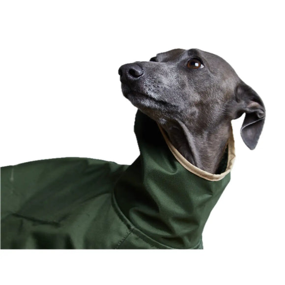 The Striped Dog - Paramount Verde - Impermeabili