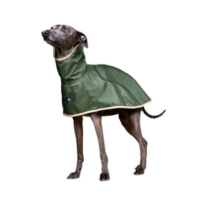 The Striped Dog - Paramount Verde - Impermeabili