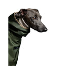 The Striped Dog - Paramount Verde - Impermeabili