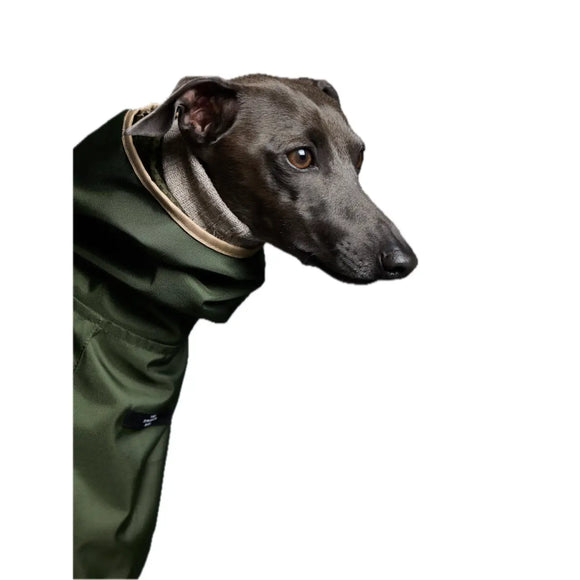 The Striped Dog - Paramount Verde - Impermeabili