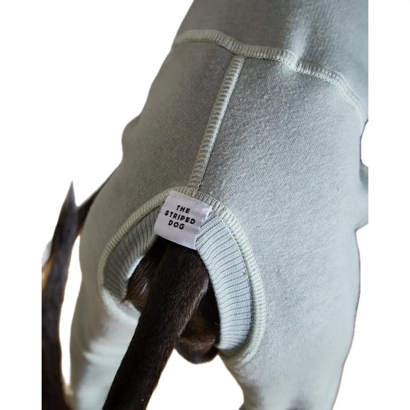 The Striped Dog - Riverside Verde Menta - Maglioncini