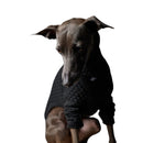 The Striped Dog - Rodeo - Maglioncini