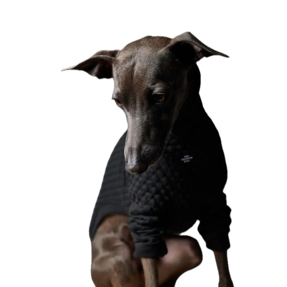 The Striped Dog - Rodeo - Maglioncini