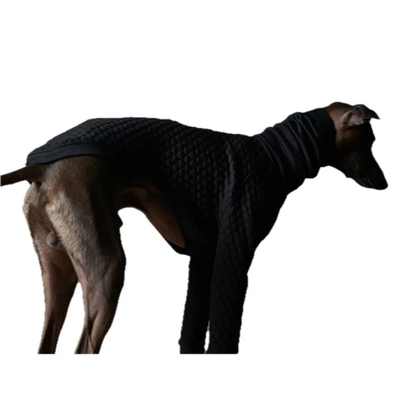 The Striped Dog - Rodeo - S - Maglioncini