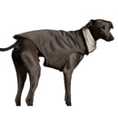 The Striped Dog - Sunset Crema - Cappottini