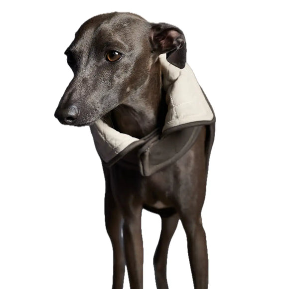 The Striped Dog - Sunset Crema - Cappottini