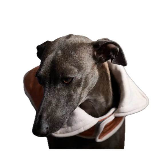 The Striped Dog - Sunset Terracotta - Cappottini