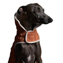 The Striped Dog - Sunset Terracotta - Cappottini