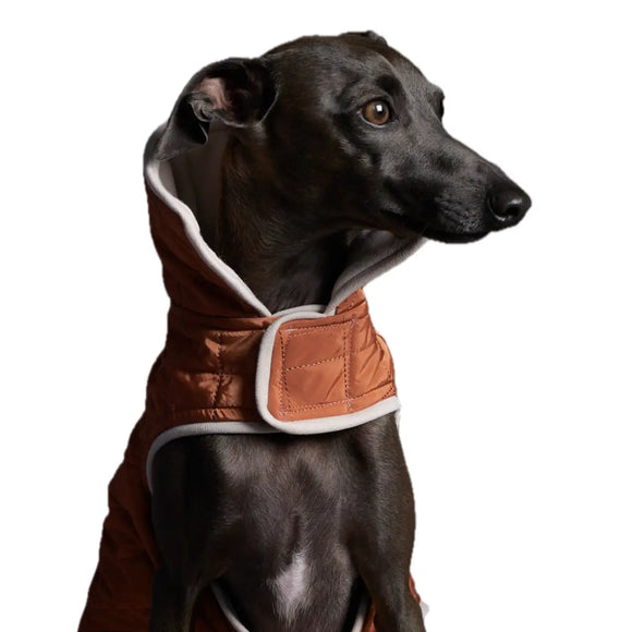 The Striped Dog - Sunset Terracotta - Cappottini