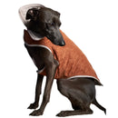 The Striped Dog - Sunset Terracotta - S - Cappottini