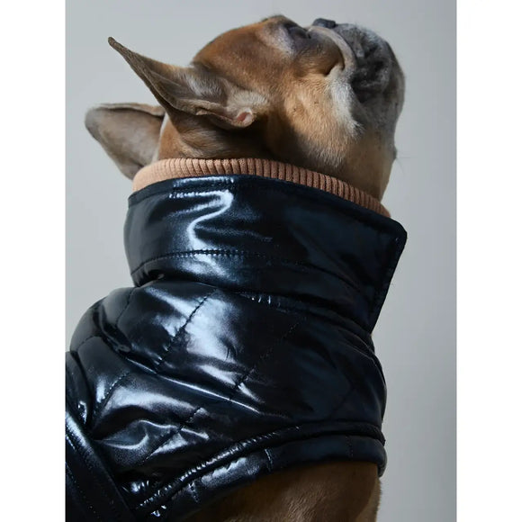 The Striped Dog - Venice - Impermeabili