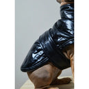 The Striped Dog - Venice - Impermeabili