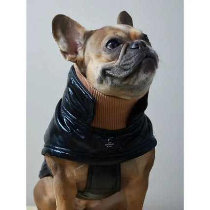 The Striped Dog - Venice - Impermeabili