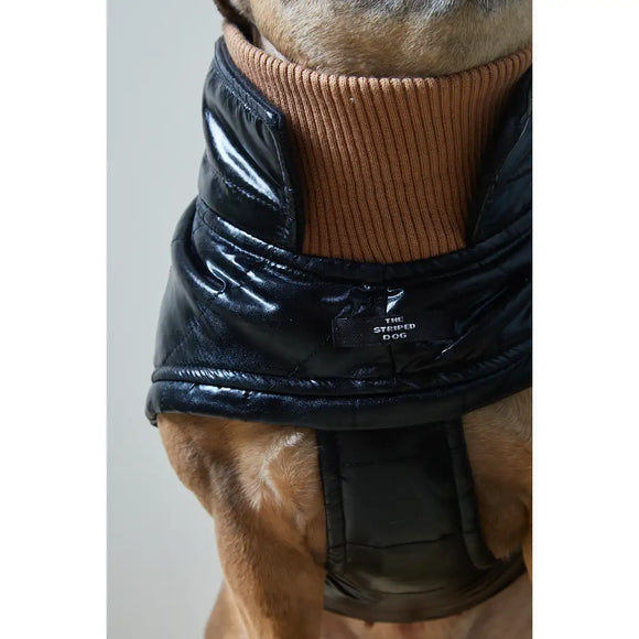 The Striped Dog - Venice - Impermeabili