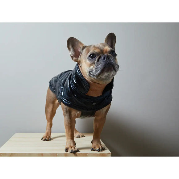 The Striped Dog - Venice - Impermeabili