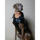 The Striped Dog - Venice Levriero - Impermeabili