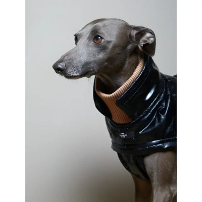 The Striped Dog - Venice Levriero - Impermeabili