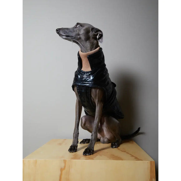 The Striped Dog - Venice Levriero - Impermeabili