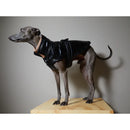 The Striped Dog - Venice Levriero - M - Impermeabili