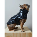 The Striped Dog - Venice - S - Impermeabili