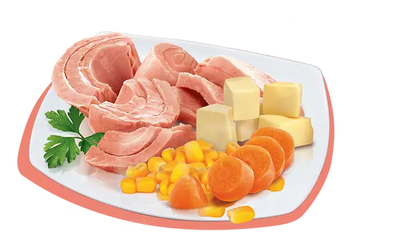 Petreet A51 Tonno del Pacifico e verdure 70 gr