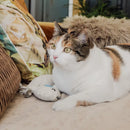 Ne&No - Jouet pour chats Set 3 poupées avec Valériane-16