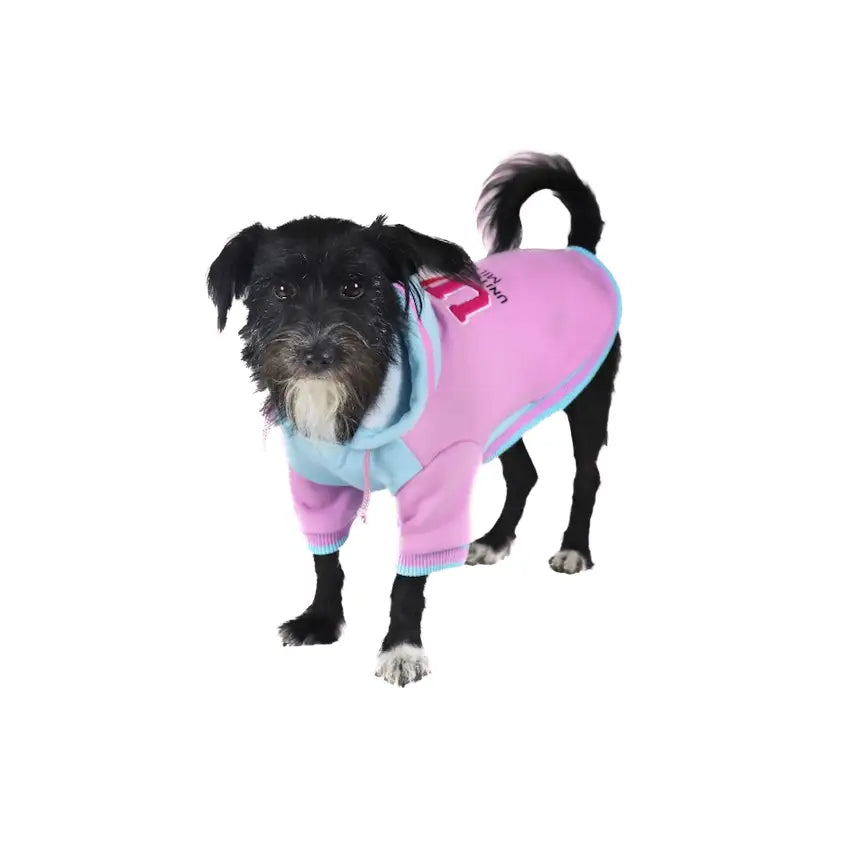 United Pets - BULL - Felpa con cappuccio in cotone - Maglioncini
