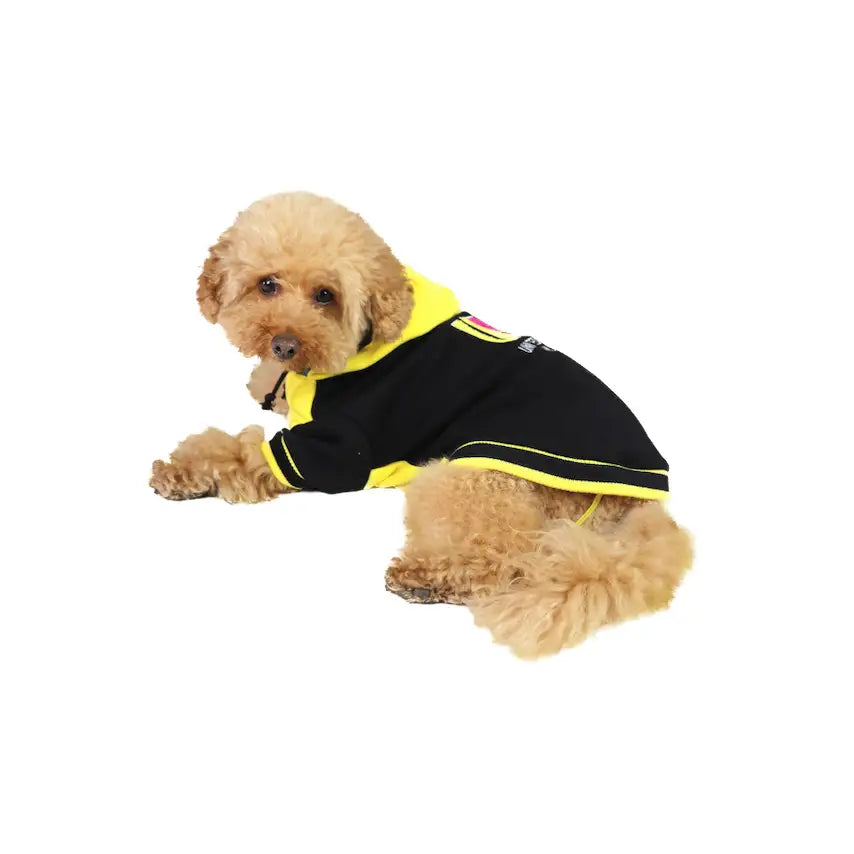 United Pets - BULL - Felpa con cappuccio in cotone - Maglioncini