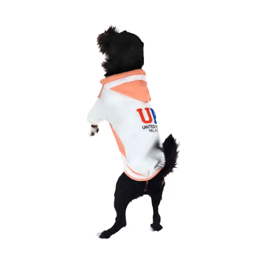 United Pets - BULL - Felpa con cappuccio in cotone - Maglioncini