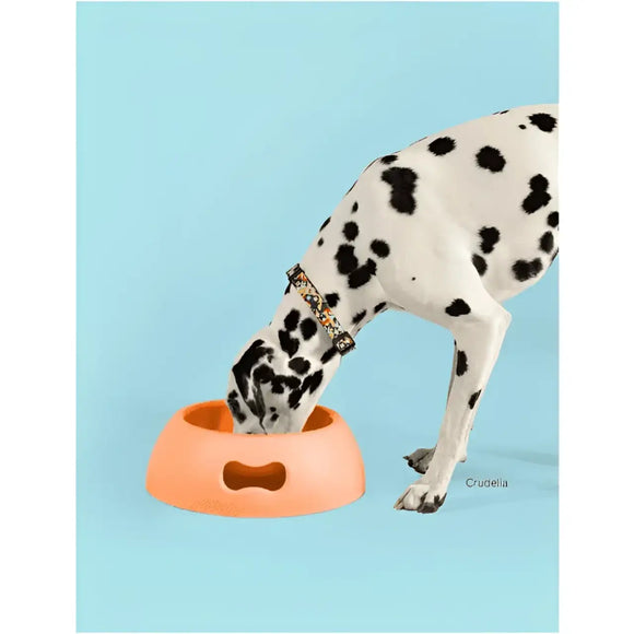 United Pets Ciotola Pappy Azzurra - Ciotole