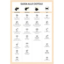 United Pets Ciotola Pappy Azzurra - Ciotole