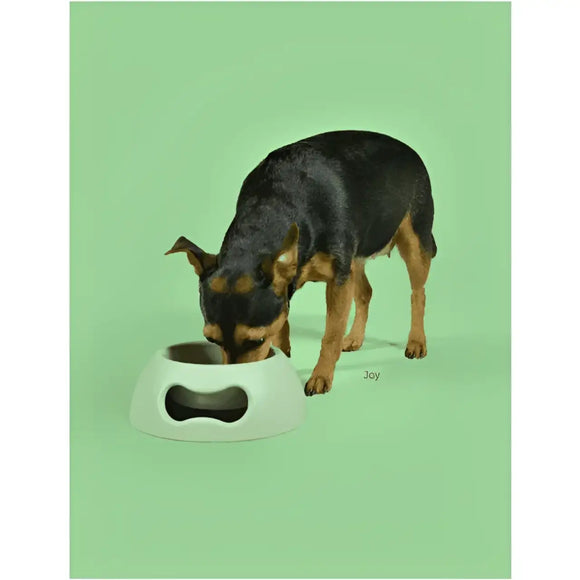 United Pets Ciotola Pappy Verde - Ciotole