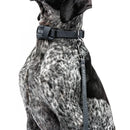 United Pets - Citylife - Collare eco con sottocollo imbottito